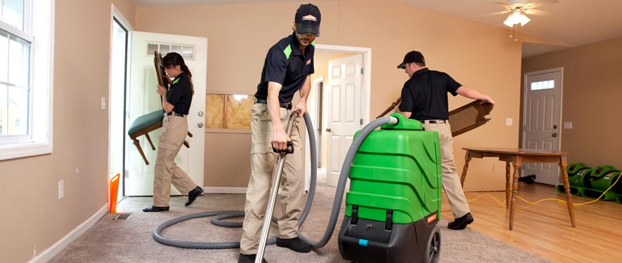 Livonia, MI cleaning services
